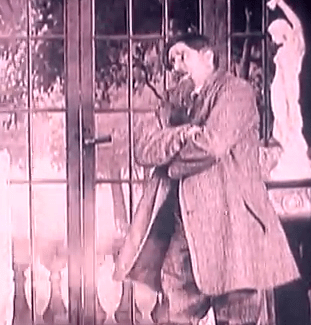 Zigoto_Cavaliere (2)