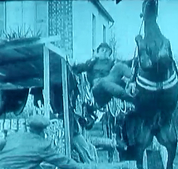 Zigoto_Cavaliere (4)