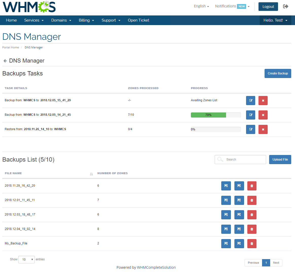 dns_manager_for_whmcs_8