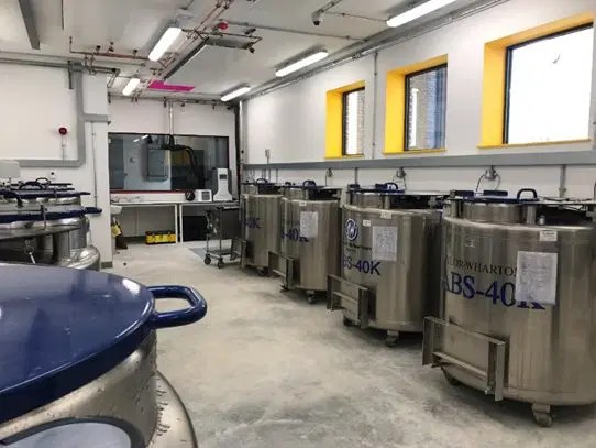 Cryogenic Sample Storage Solutions Archives Labmode - Ocean Picture Collection - 4K Quality