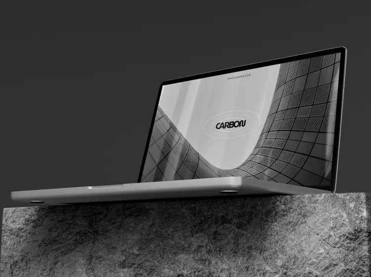 portfolio img 1