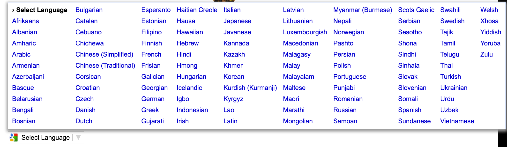 Google Translate Widget Support