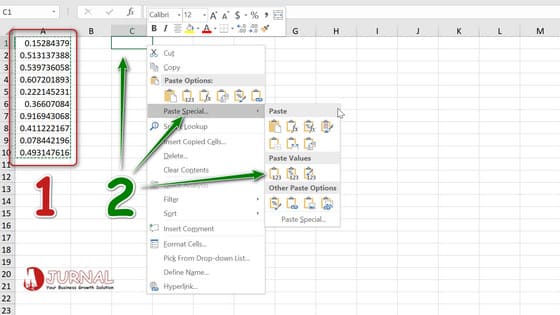 Copy Paste Value Only in Excel