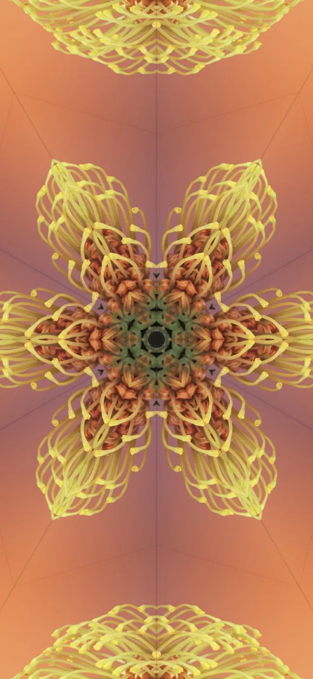 iOS 17 Wallpapers Mohamedovic 1