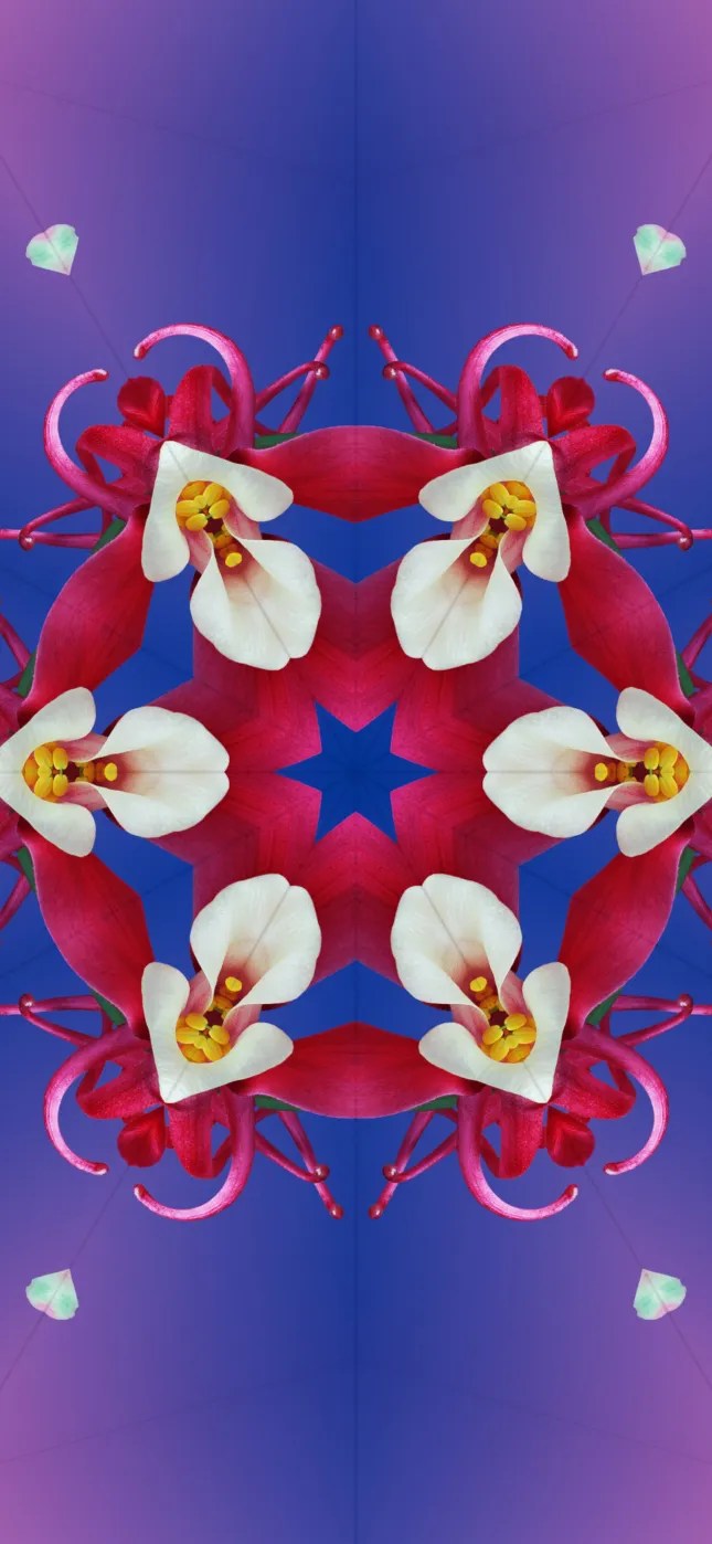 iOS 17 Wallpapers Mohamedovic 20