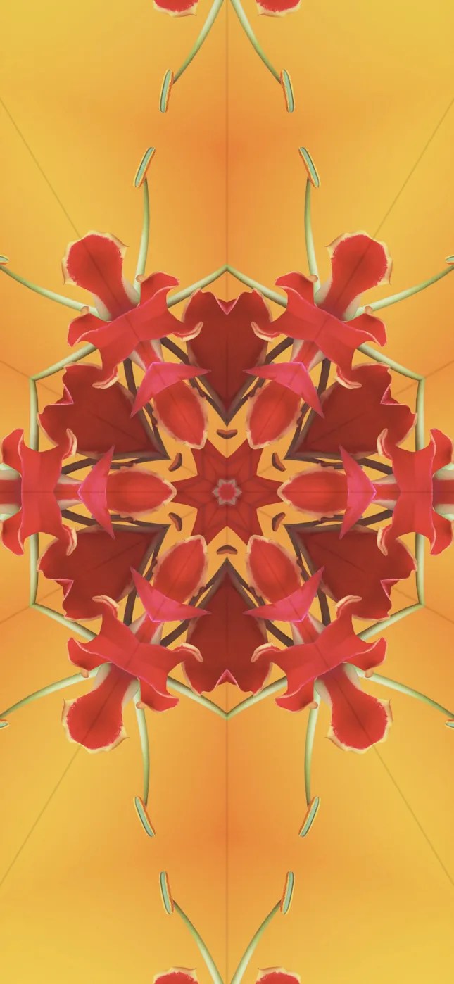 iOS 17 Wallpapers Mohamedovic 3