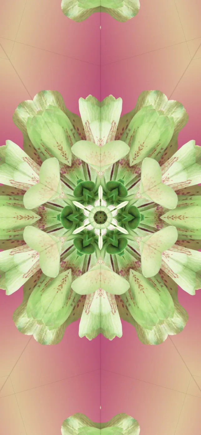 iOS 17 Wallpapers Mohamedovic 4