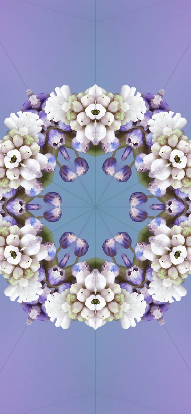 iOS 17 Wallpapers Mohamedovic 5