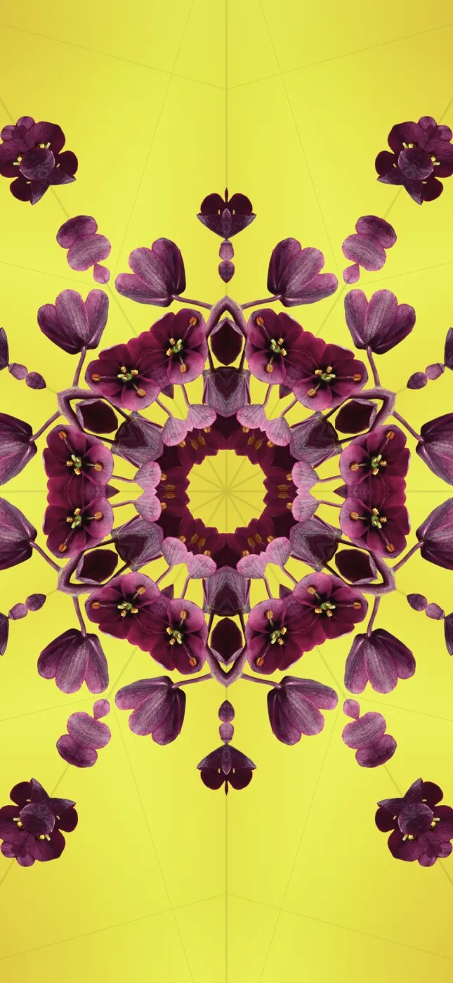 iOS 17 Wallpapers Mohamedovic 6