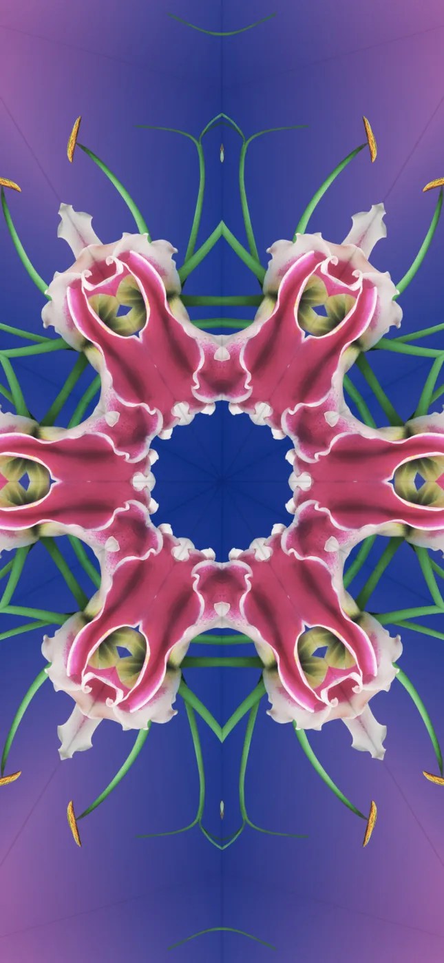 iOS 17 Wallpapers Mohamedovic 7