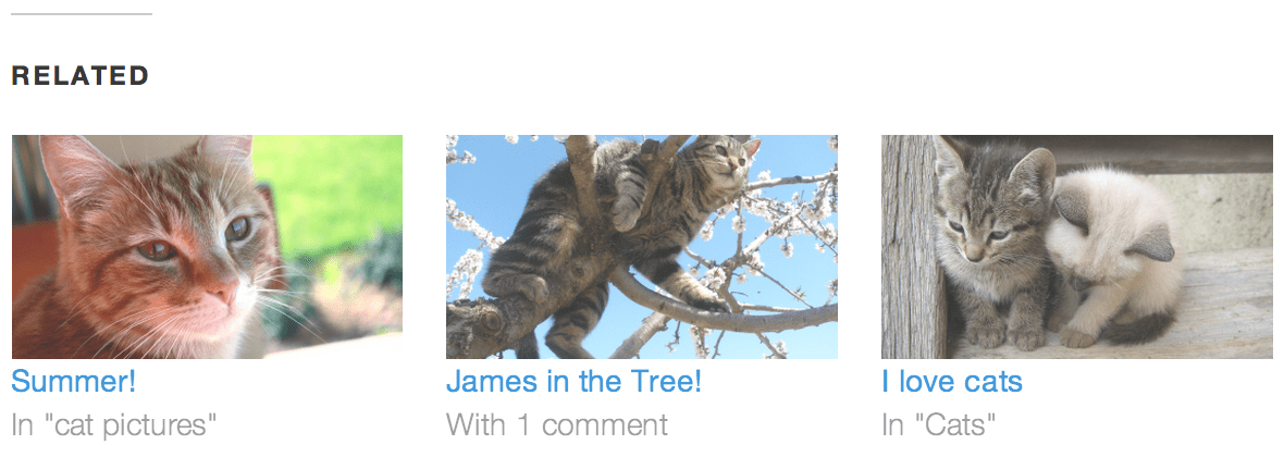 Related Posts - Visual