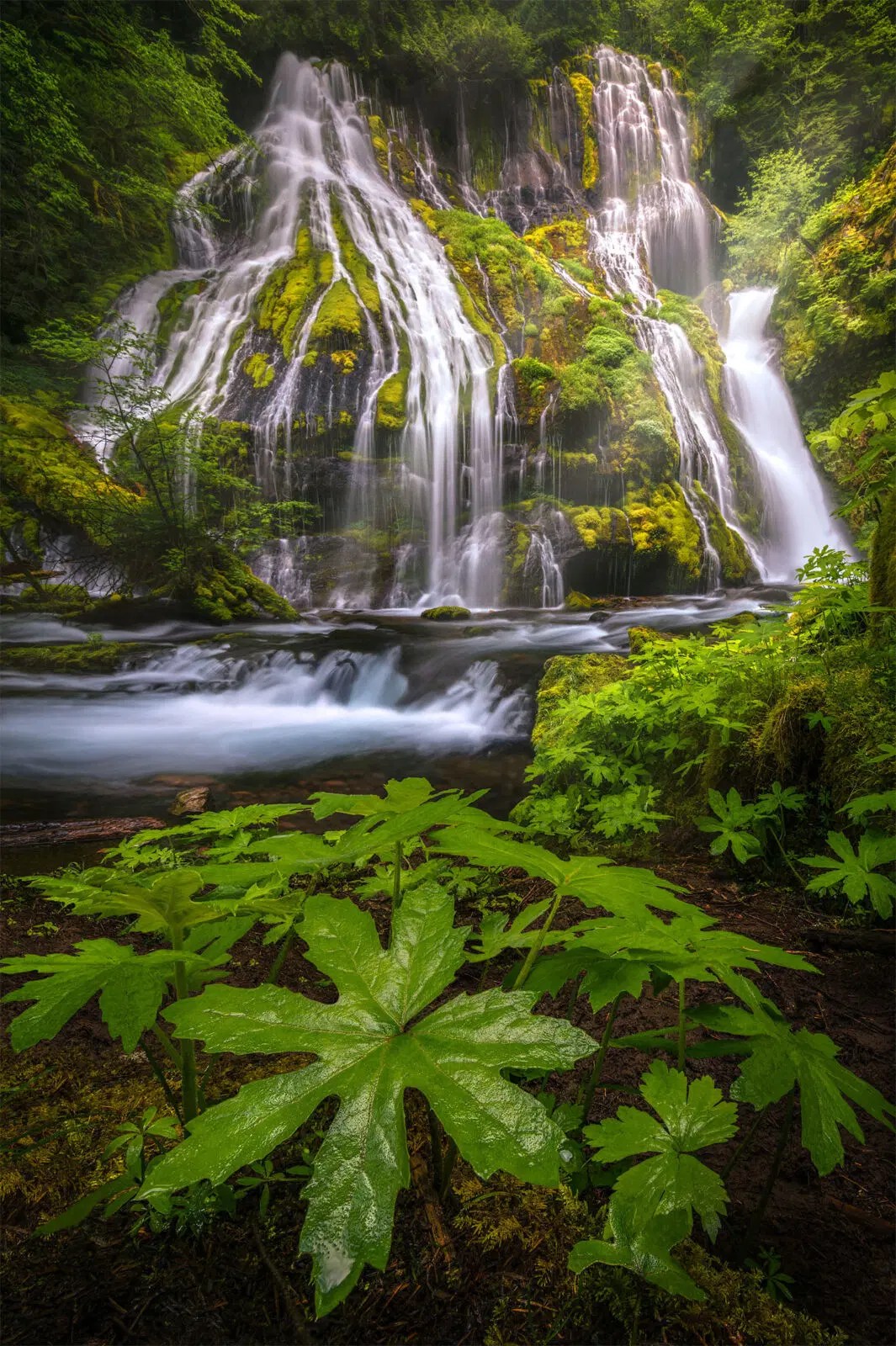 Spring Falls Mlcreations Photography - Best Landscape Textures in Full HD