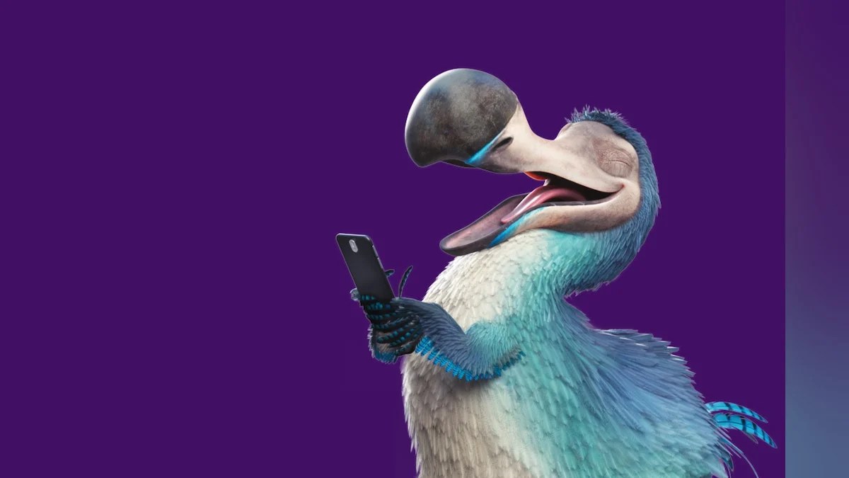 How to Cancel Dodo Internet