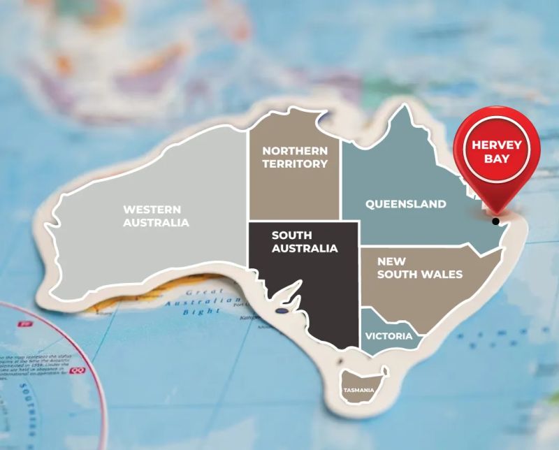 Ndis Provider Registration Hcpa - Best City Illustrations in Mobile