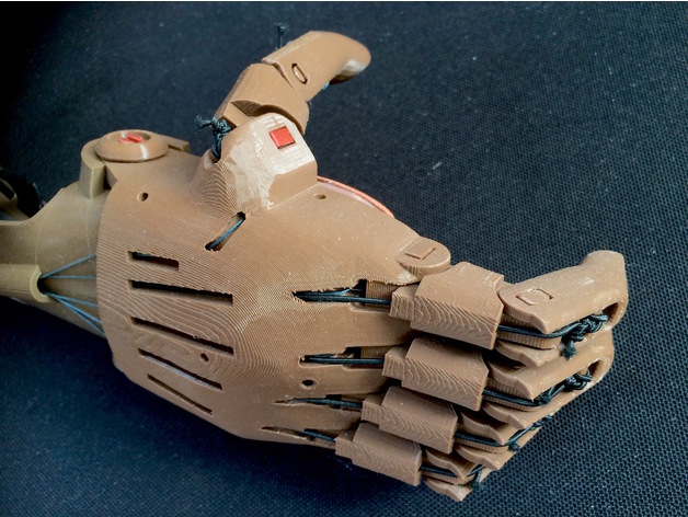 Phoenix Hand – Enabling The Future