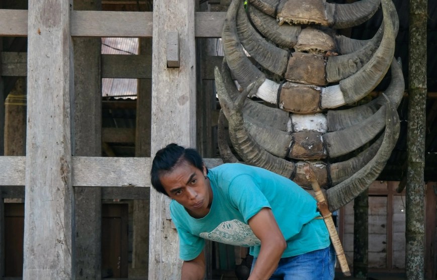 14D Java, Sulawesi, Komodo, Bali by www.enbali.com