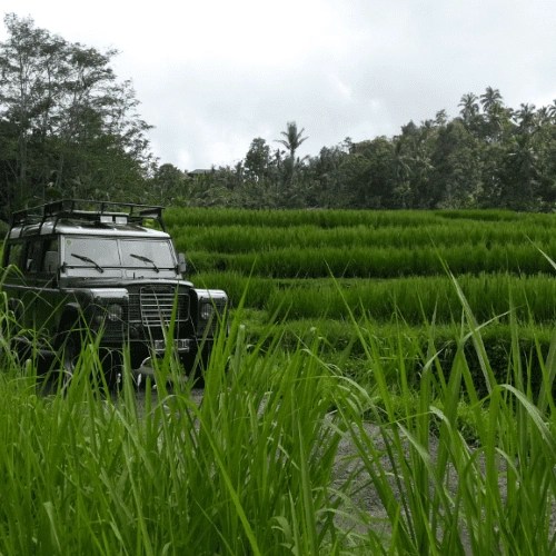 Jeep Tour Heart of Bali by www.enbali.com
