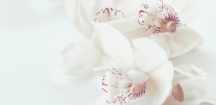 60 Minutes Massage at Spa in Bali by www.enbali.com