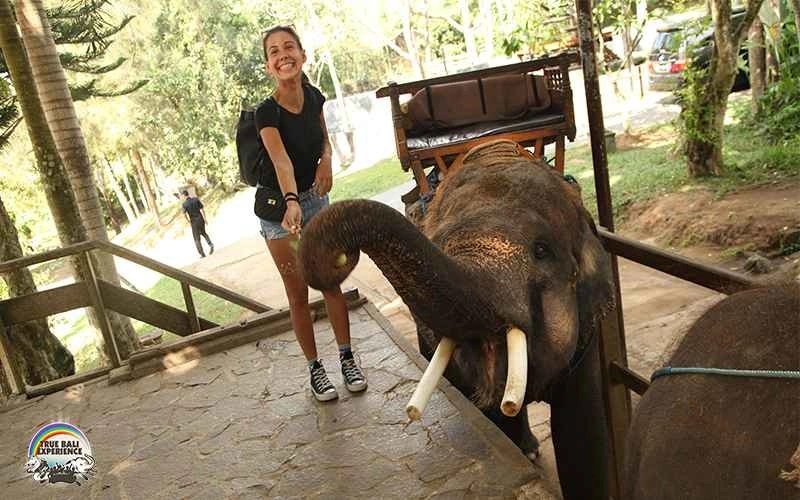 Elephant Ride by www.enbali.com