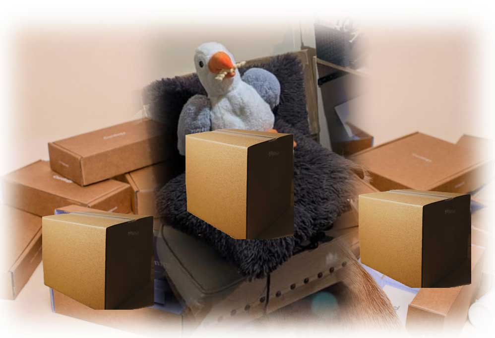 neurodivergent not a fit