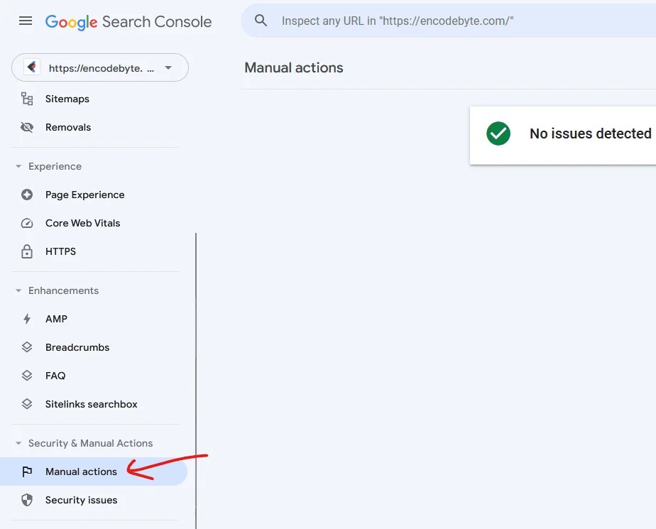 Google Search Console manual actions report 1