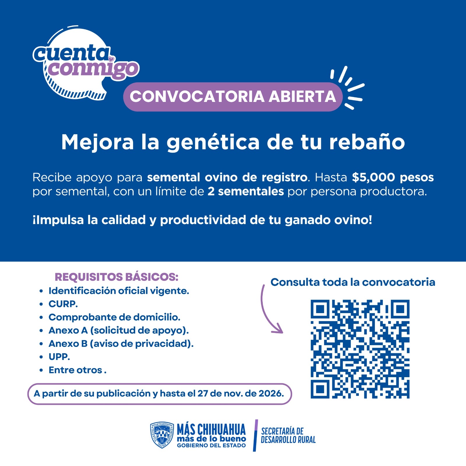 BORREGOS DESARROLLO RURAL (1)