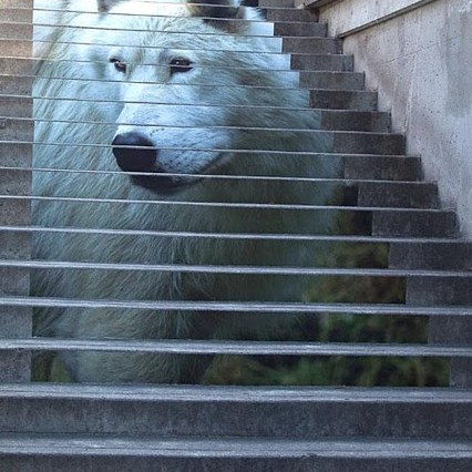 Most Beautiful Stairs