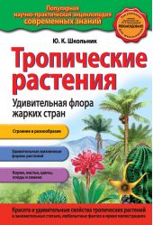 Тематическая фотография к материалу «Главные герои энциклопедия путешествий страны мира. Плешаков»