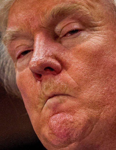 Trump tried to Destroy/Steal Classified Documents. Why isn’t he Being Arrested?