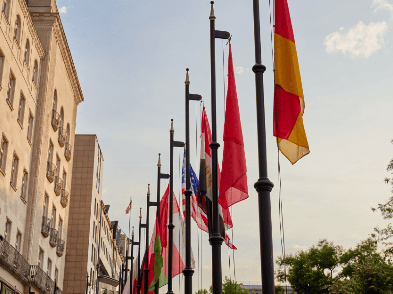 Geneva Consensus Declaration