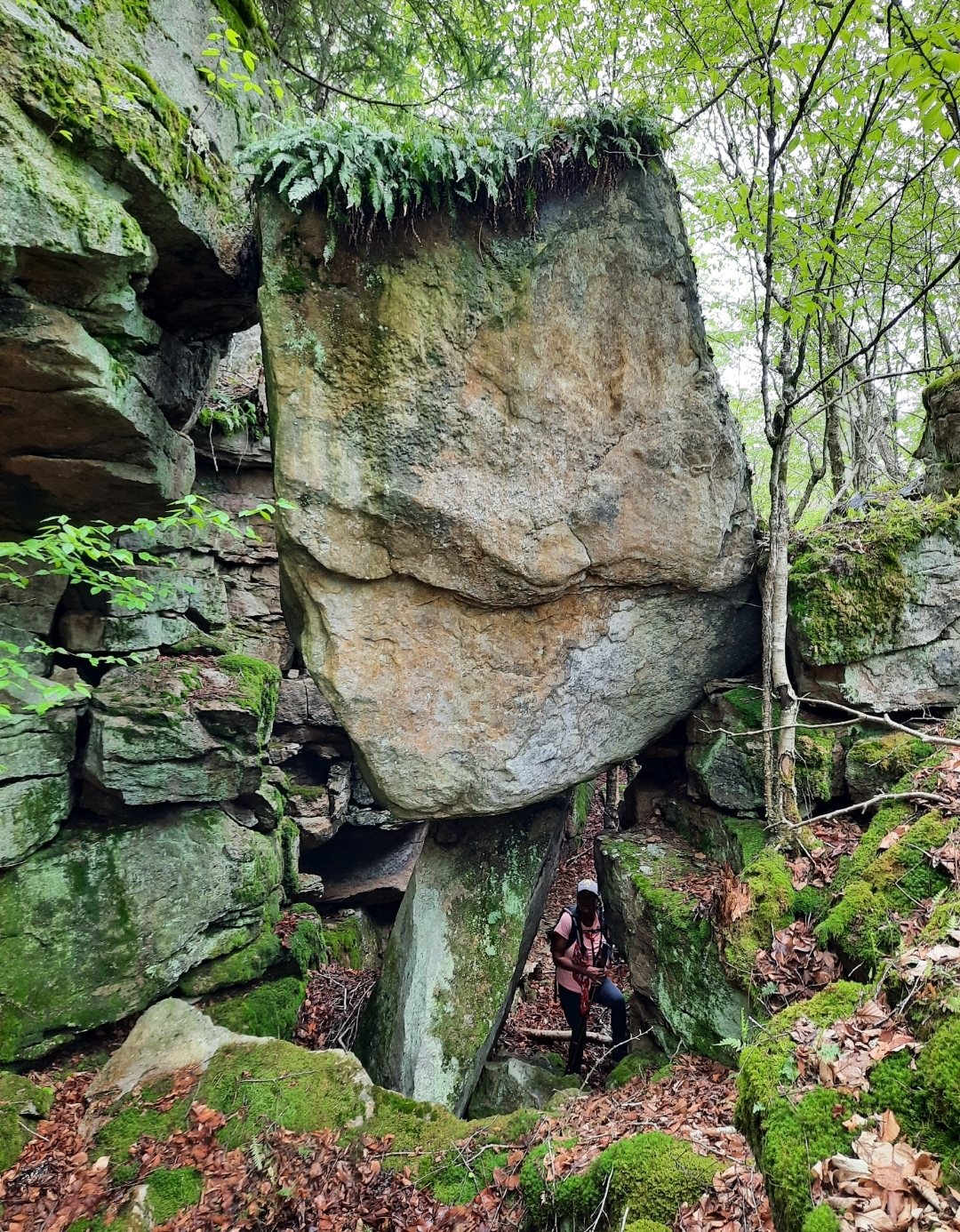Realm of Rocks (and Waterfalls!)-SGL 57 | Hike Pennsylvania with