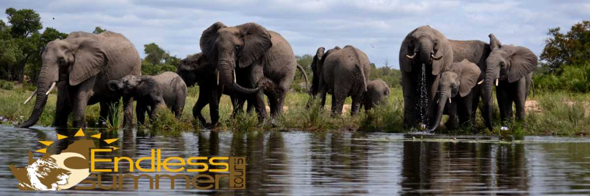 Day Overnight South African Safari Tours Kruger Hluhluwe