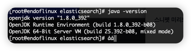 java 패키지 설치 후 버전 확인 작업