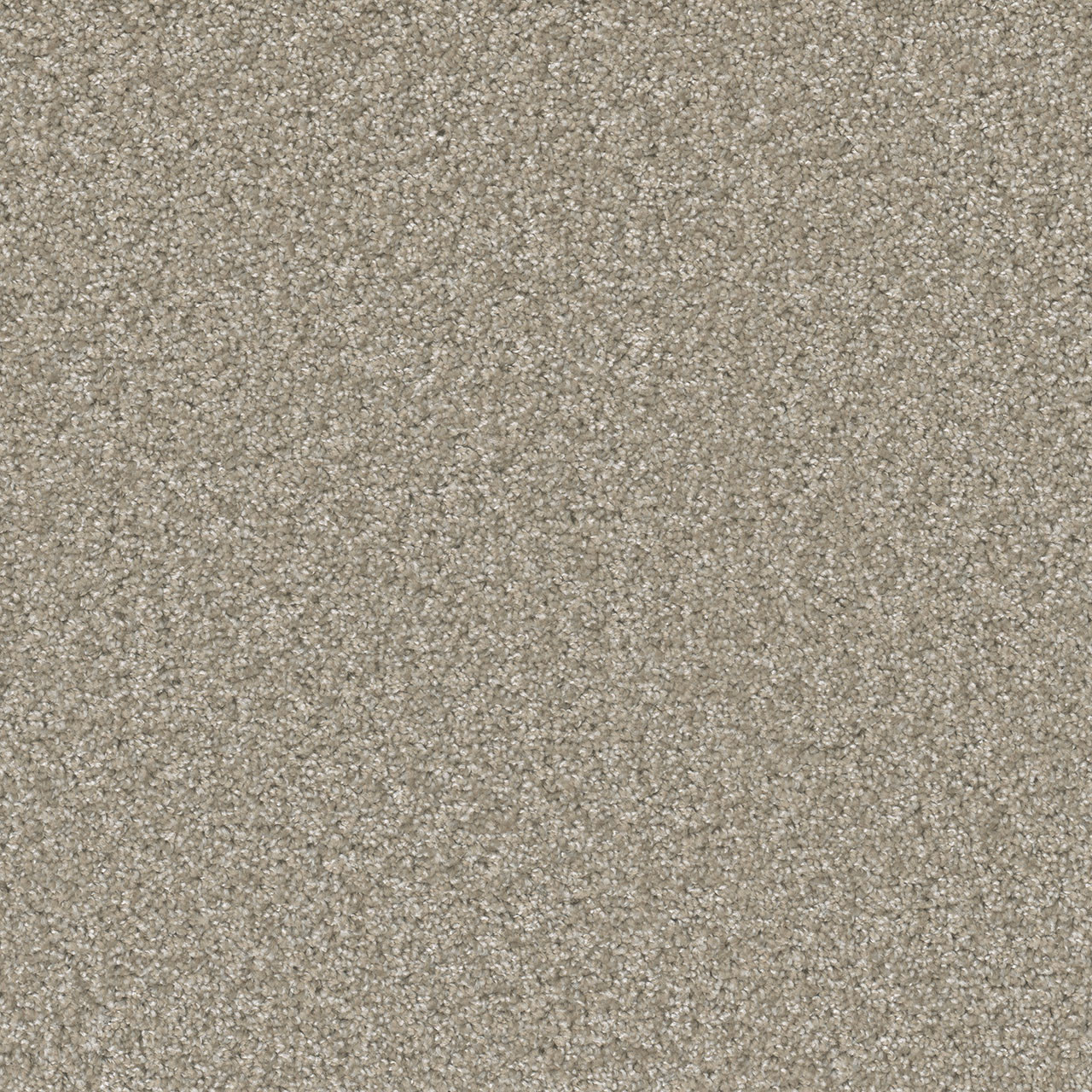 Clam Shell