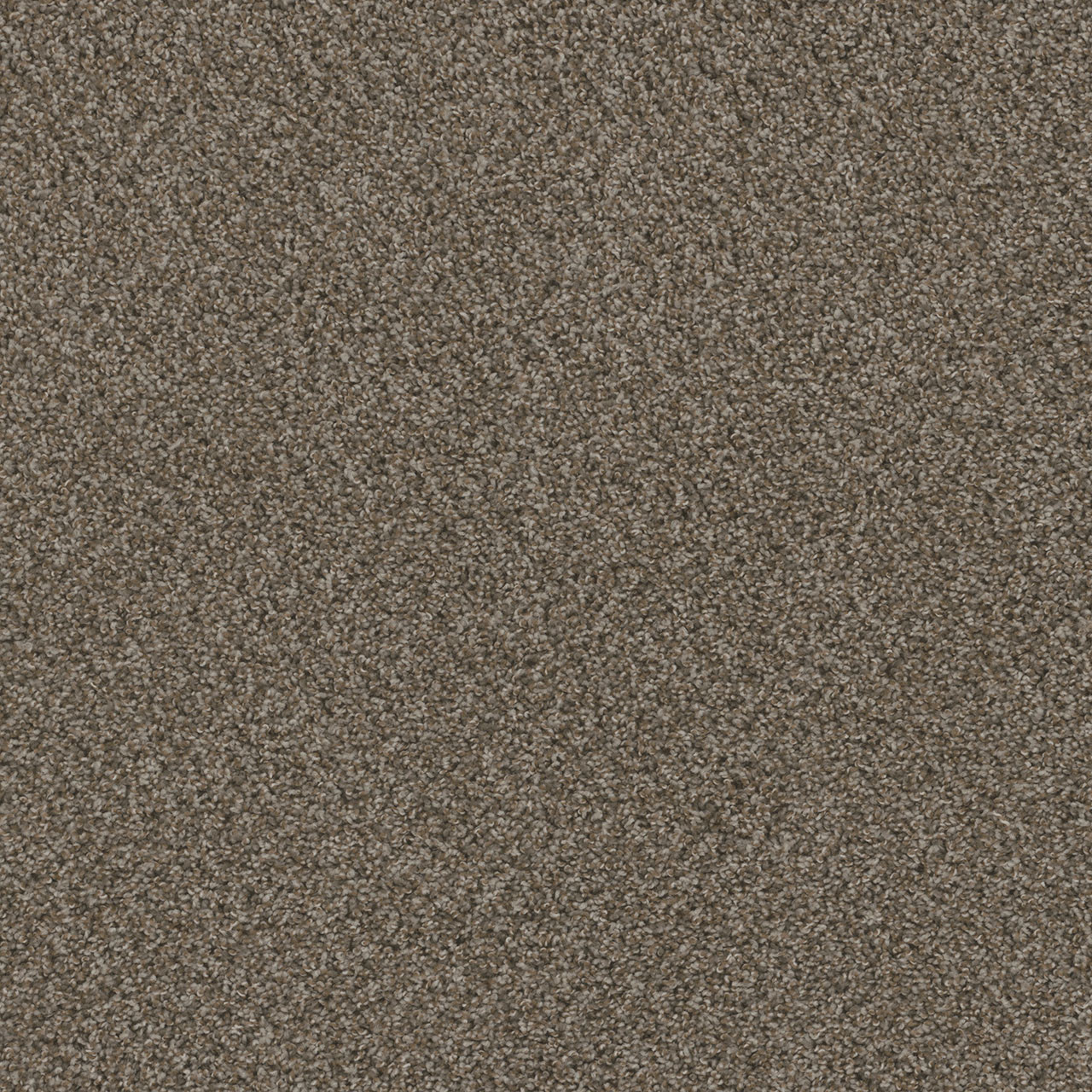 Desert Jasper