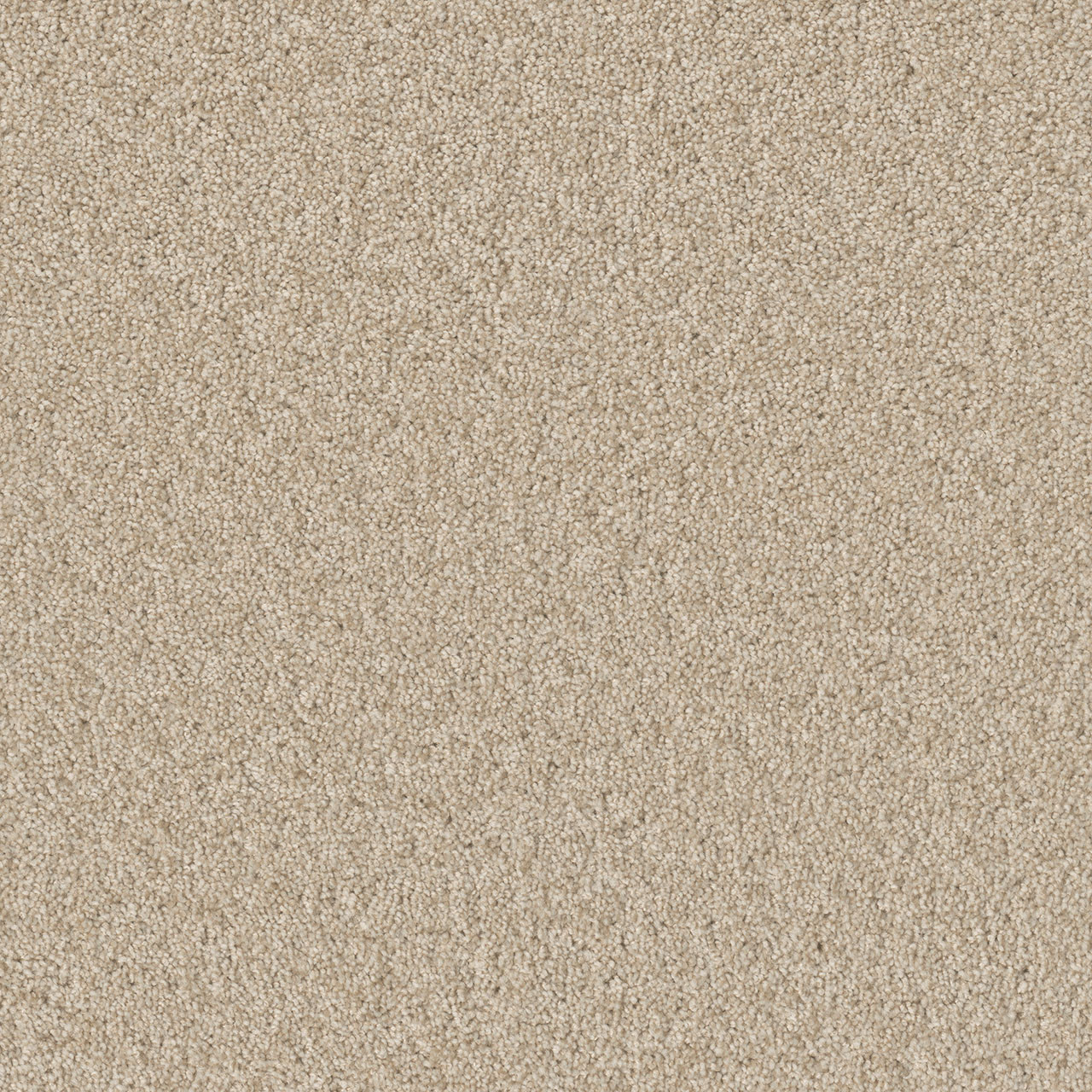 Light Bisque