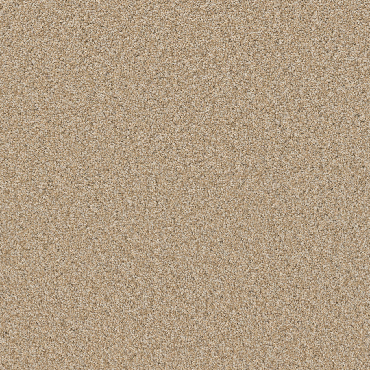Frosted Clay