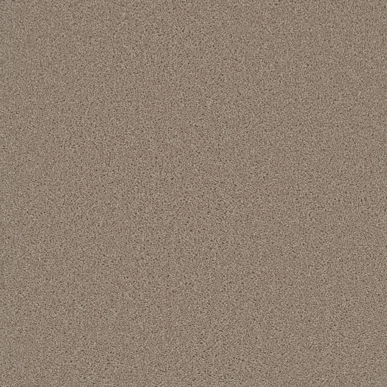 Flax Beige