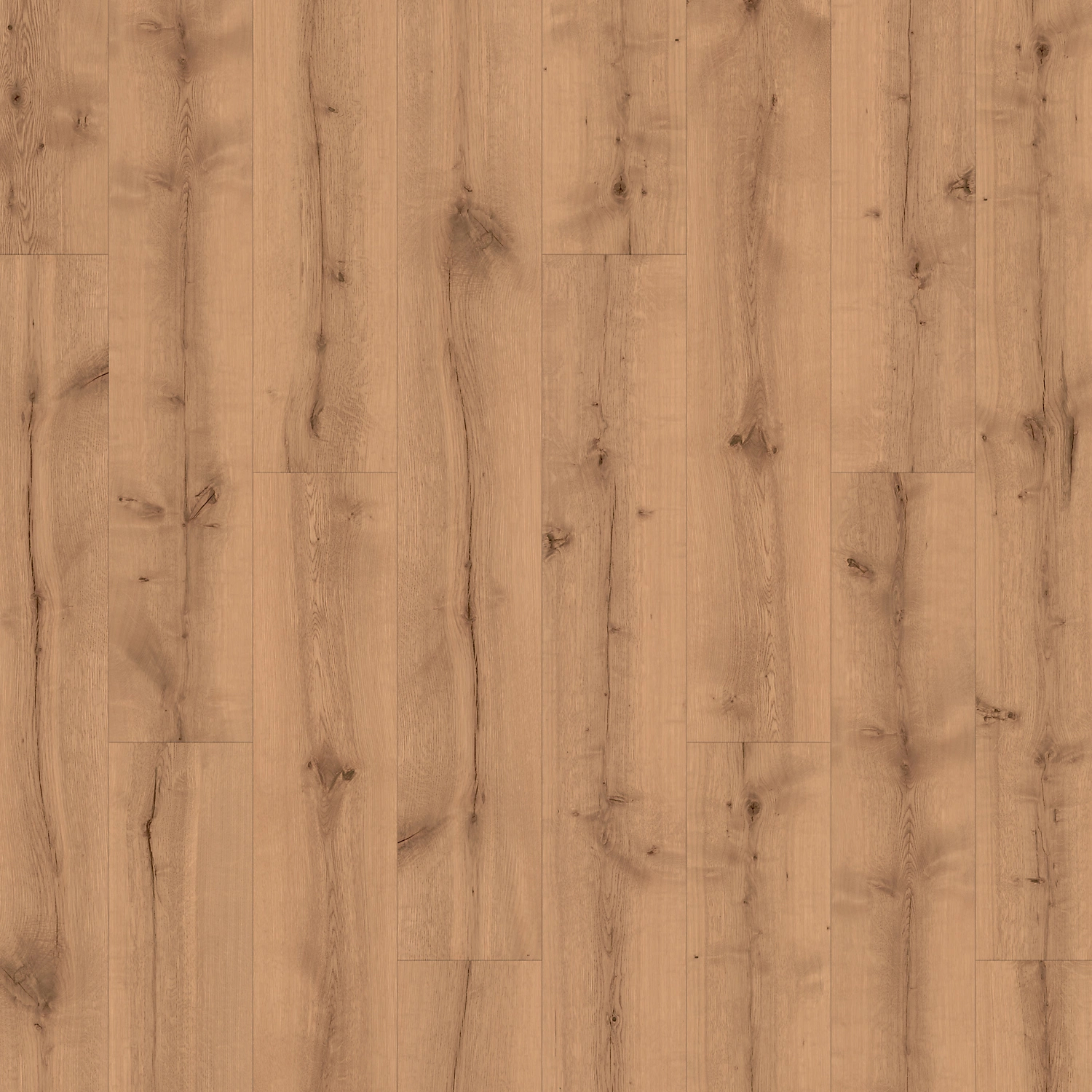 Sable Oak