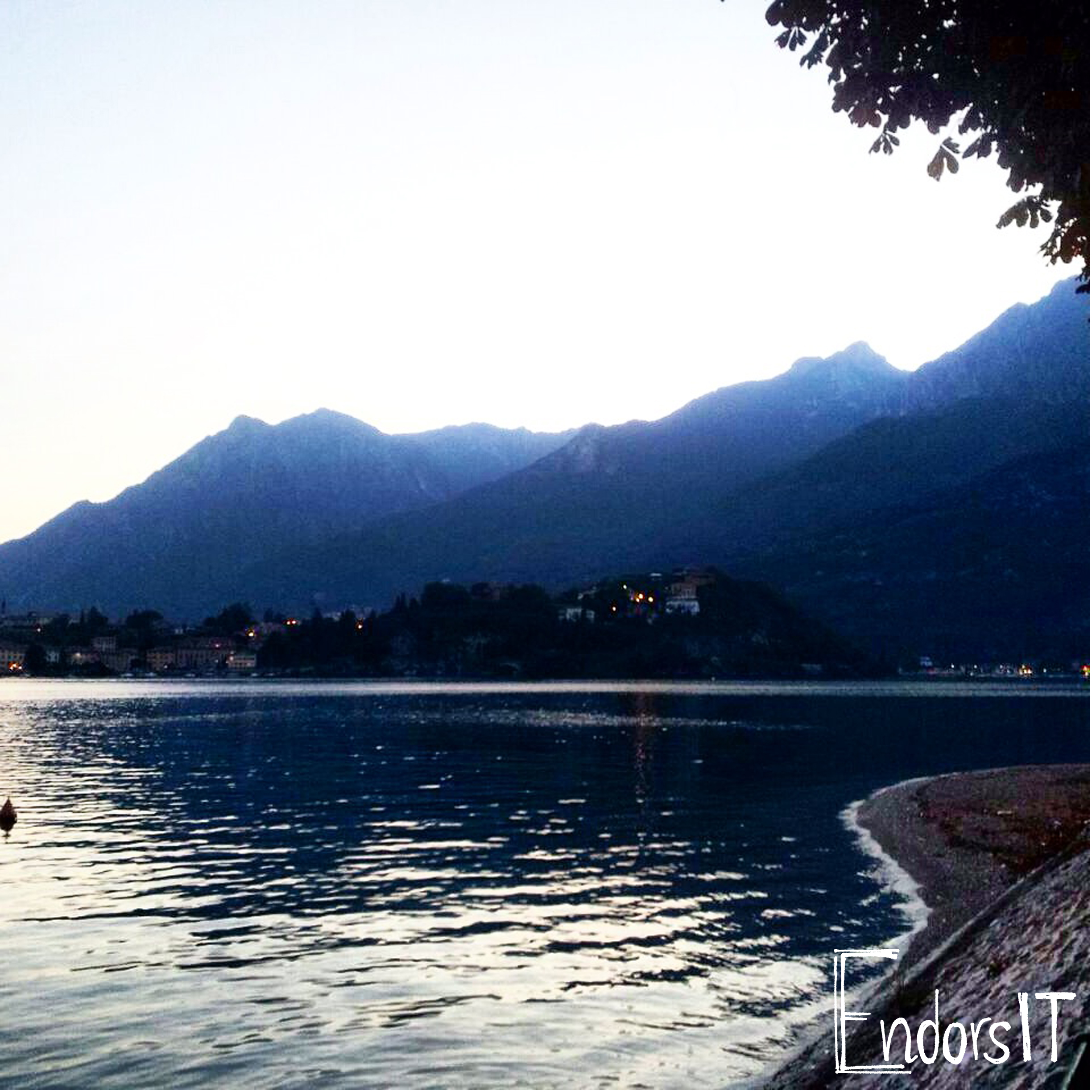 The Life that we Lake