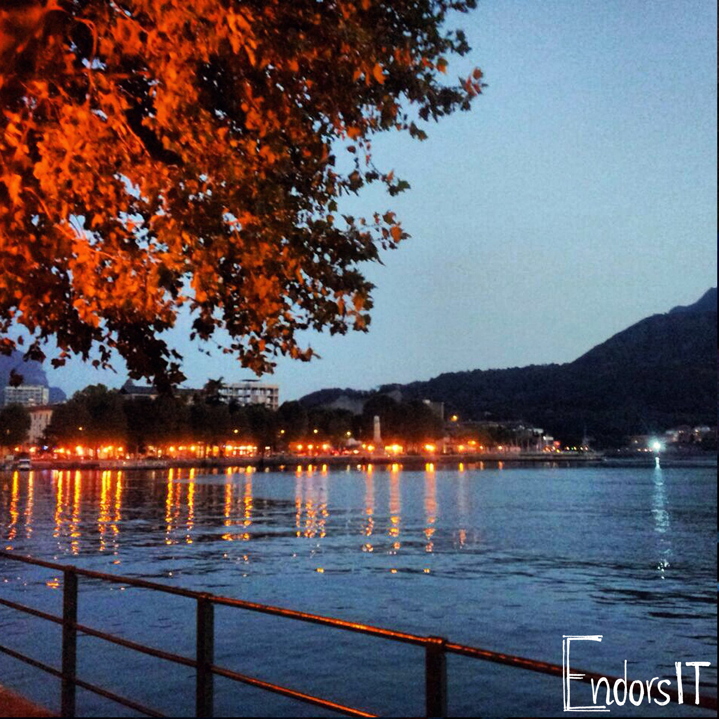 The Life that we Lake