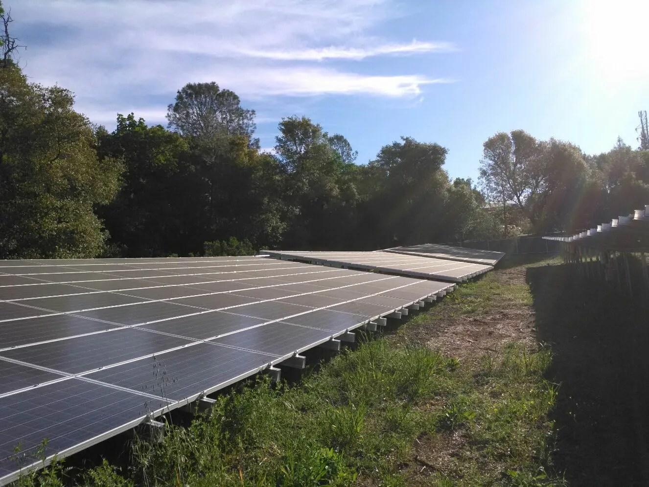 arrays of solar panels in a clearing