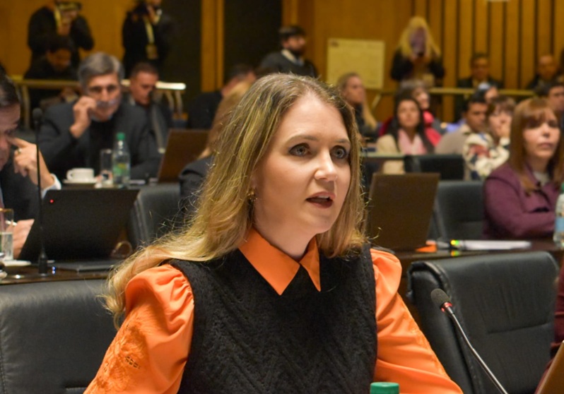 Creado por la Legislatura, Misiones tendrá su Servicio de Medicina del Estrés