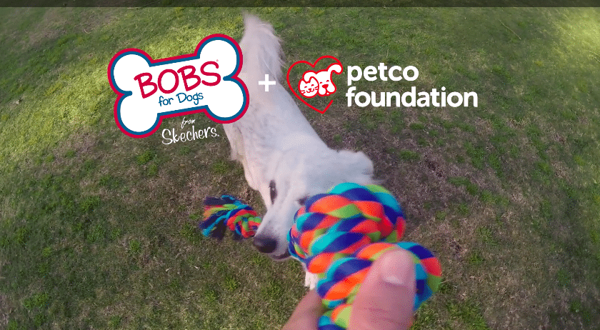 petco foundation slippers
