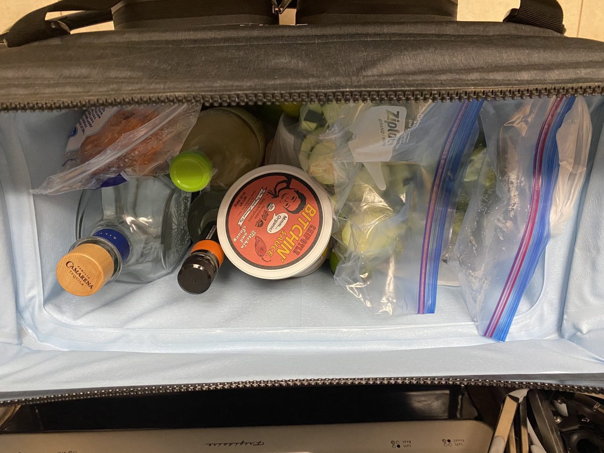 ICEMULE Traveler™ 35L