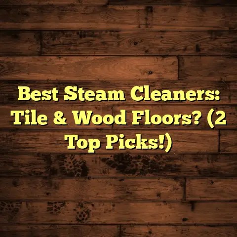Best steam cleaners: tile & wood floors? (2 top picks!)