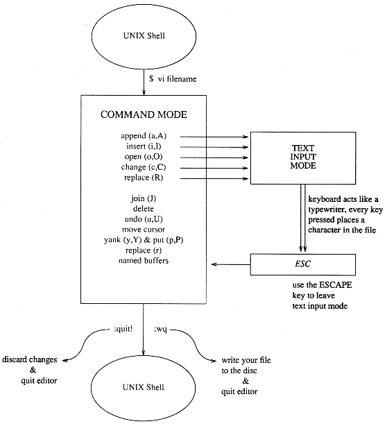 Chapter 4 Vi Editor Pdf Cursor User Interface Command Line - Download Creative City Design | High Resolution
