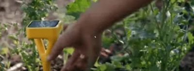 HIDDEN GARDEN SENSOR FOR FARMERS