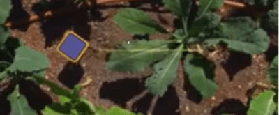 HIDDEN GARDEN SENSOR FOR FARMERS
