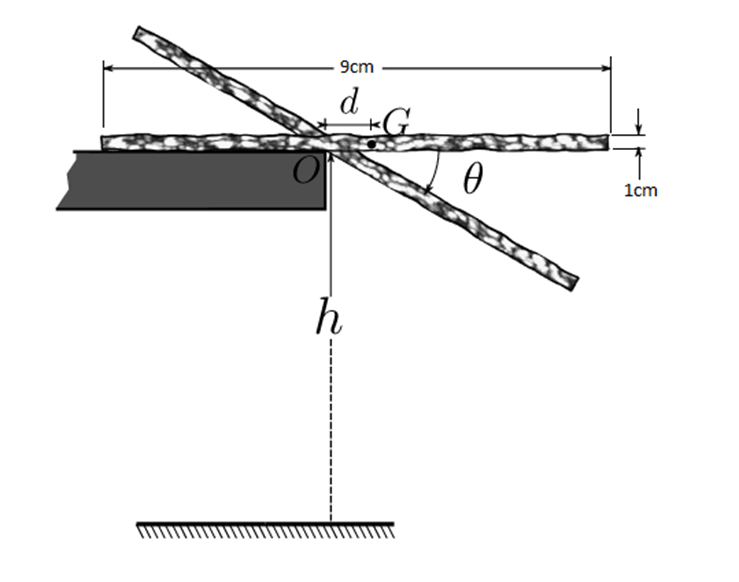 Tumbling Toast Dynamics Experiment